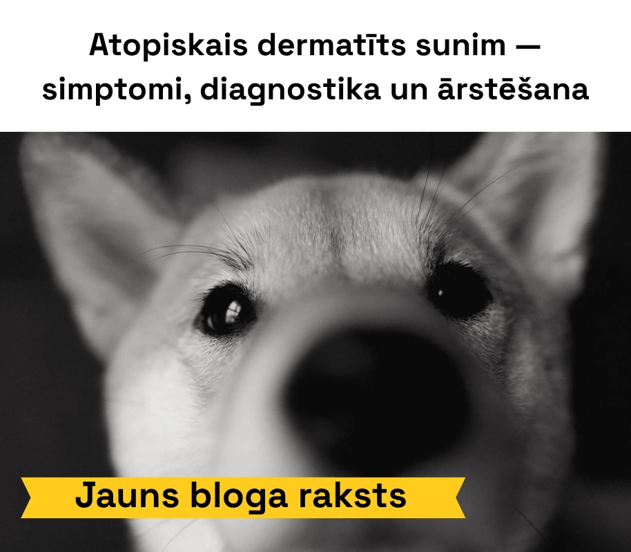 Miluliem.lv reklāmkarogs